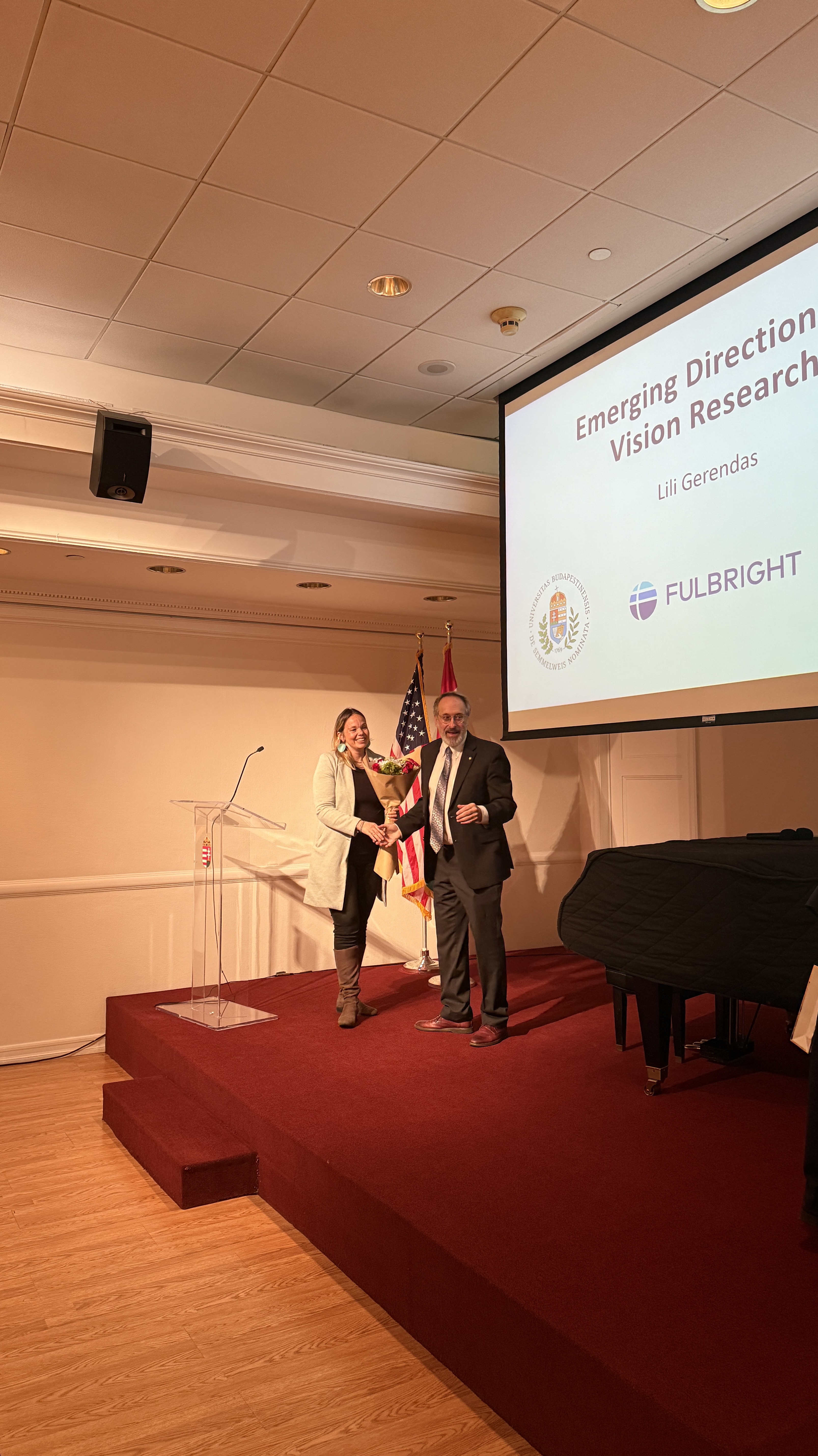 Gene Therapy Vision Research